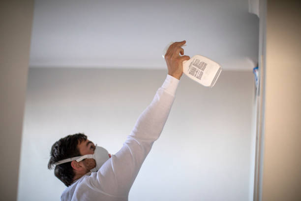 Best DIY Mold Remediation Support Services in Sheridan, WY