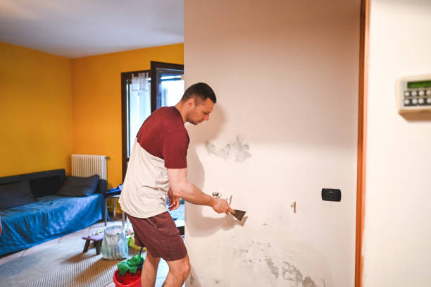 Best Black Mold Remediation in Sheridan, WY